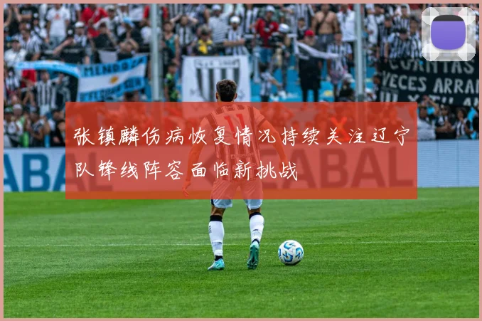 张镇麟伤病恢复情况持续关注辽宁队锋线阵容面临新挑战